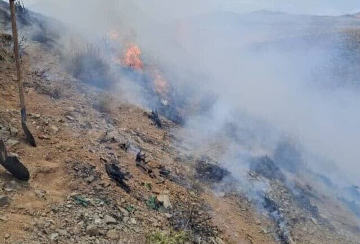 فوری | انفجار مهیب در شیراز