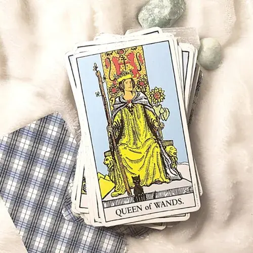 فال تاروت امروز سه‌شنبه 10 تیر ماه ۱۴۰۴ را اینجا بخوانید؛ کارها بر وفق مراد است